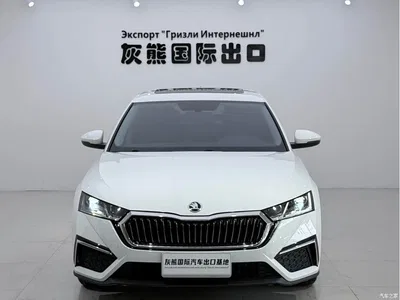 2023 Škoda Octavia Facelift PRO TSI280 Luxury Edition, фото 2, лот 10348754