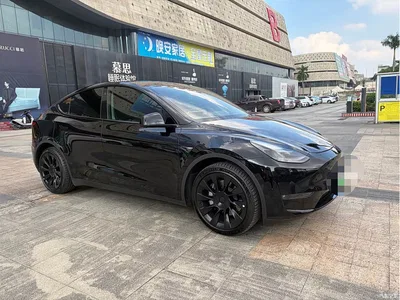 2023 Tesla Model Y Long Range All-Wheel Drive Edition, фото 3, лот 10765612