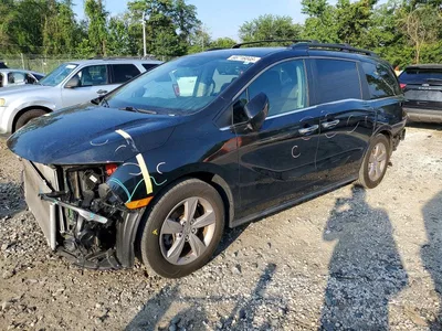 2019 HONDA ODYSSEY EXL, фото 1, лот 10710407