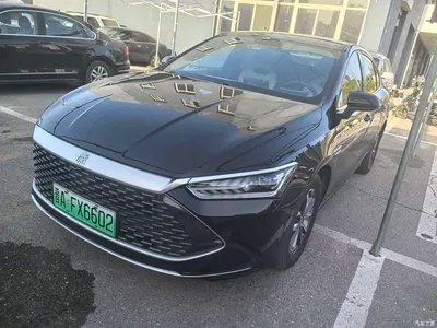2023 BYD Qin PLUS Champion Edition DM-i 55KM Leading, фото 2, лот 10363161