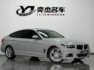 2018 BMW 3 Series GT 320i M Sport, фото 3, лот 10770802