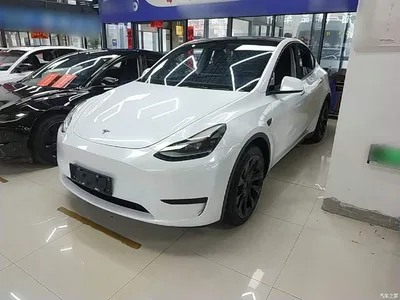 2022 Tesla Model Y Rear-Wheel Drive Version, фото 2, лот 10369655