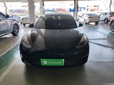 2021 Tesla Model 3 Facelift Performance High-Performance AWD 3D1, фото 3, лот 10370459