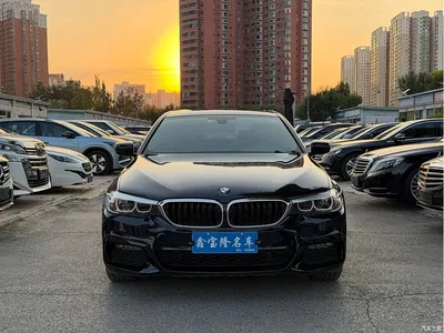 2019 BMW 5 Series 530Li Leading M Sport Package, фото 2, лот 10482634