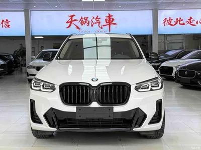 2023 BMW X3 Facelift xDrive30i Leading M Night Package, фото 1, лот 10460547