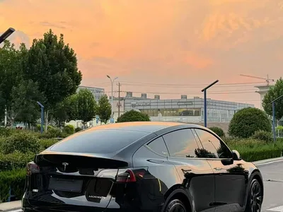 2022 Tesla Model Y Rear-Wheel Drive Version, фото 4, лот 10455205