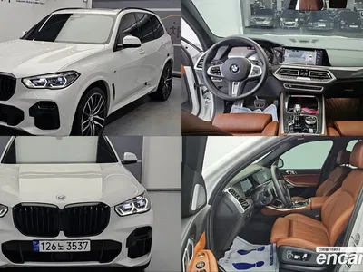 2023 BMW X5 M50i, фото 1, лот 10521724