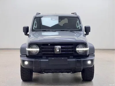 2024 Tank 300 Model 2.0T Challenger, фото 2, лот 10888947