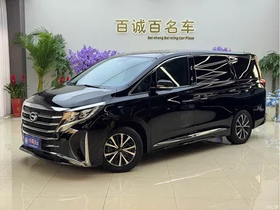 2021 GAC Trumpchi Trumpchi M8 Leading Show Series 390T Premium Edition, фото 2, лот 10415717