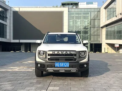 2024 Haval Big Dog 2.0T DCT Chinese Rural Dog Edition, фото 2, лот 10361656