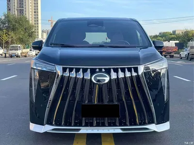 2024 GAC Trumpchi Trumpchi M8 Patriarch Series Twin Engine Flagship Edition, фото 2, лот 11139666