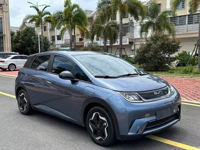 2024 BYD Dolphin Glory Edition 420km Fashion Edition, фото 3, лот 11507215