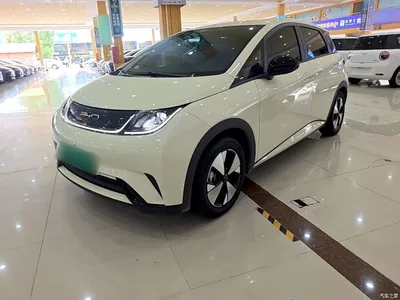 2023 BYD Dolphin 420km Freedom Edition, фото 2, лот 10264160