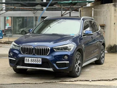 2019 BMW X1 xDrive20Li Premium Model, фото 1, лот 11067488