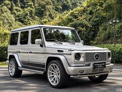 2009 Mercedes-Benz G-Class AMG AMG G 55, фото 3, лот 10482445