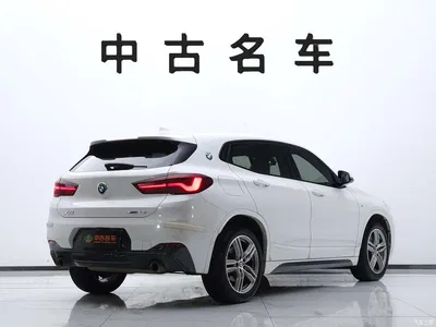 2020 BMW X2 sDrive25i Leading M Sport Package, фото 4, лот 10237477