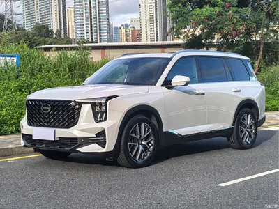 2025 GAC Trumpchi Trumpchi GS8 Pilot Series 2.0TGDI 2WD Luxury Edition 5-seater, фото 1, лот 10414561
