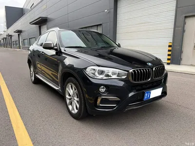 2018 BMW X6 xDrive28i, фото 3, лот 10469349