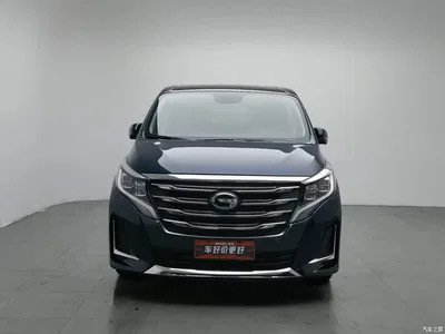 2020 GAC Trumpchi Trumpchi M8 Pilot 390T Ultimate Edition, фото 3, лот 10393735
