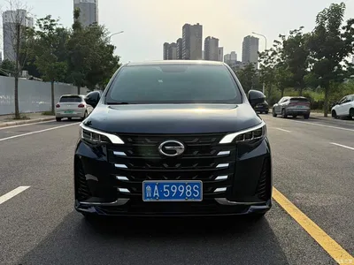 2021 GAC Trumpchi Trumpchi M6 PRO 270T Automatic Luxury Edition, фото 2, лот 11199411