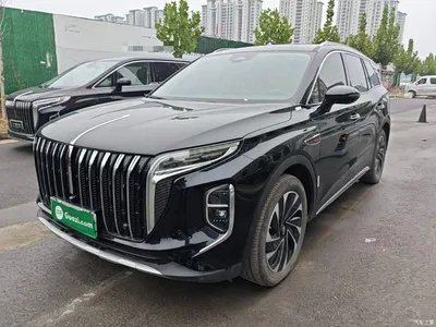 2024 Hongqi HS7 PHEV 2.0T PHEV 4WD Flagship Edition 6-seater, фото 2, лот 11450561