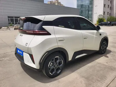 2025 BYD Seagull Smart Drive Edition 305km Freedom Version, фото 3, лот 10248037