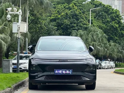 2024 XPeng G6 580 Long Range Plus, фото 2, лот 10375283
