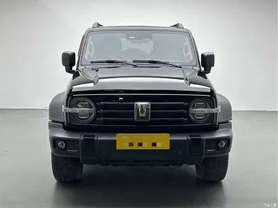 2021 Tank 300 Off-road Version 2.0T Conqueror, фото 2, лот 11499272