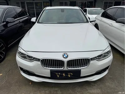 2019 BMW 3 Series 320Li Fashion Type, фото 2, лот 11532376