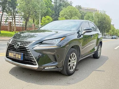 2020 Lexus NX 200 FWD Fengyi Edition China VI, фото 1, лот 10317950