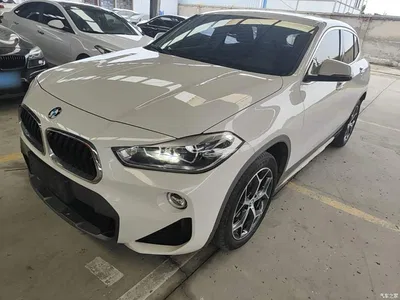 2019 BMW X2 (Import) sDrive20i M Off-Road Package China VI, фото 2, лот 11301973