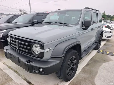 2021 Tank 300 Off-road Version 2.0T Conqueror, фото 1, лот 11554951
