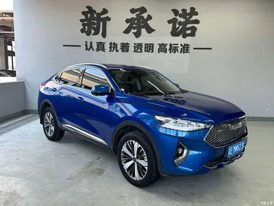 2021 Haval F7x 2.0T FWD Ultimate Tech Edition, фото 2, лот 10296483