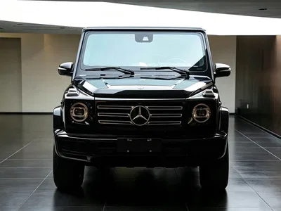 2023 Mercedes-Benz G-Class, фото 2, лот 10295679
