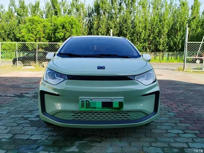 2023 Sehol Flower Fairy Anniversary 301km Four-Leaf Clover 36kW, фото 3, лот 11164999