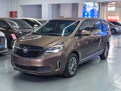 2020 Buick GL8 Model Land Business Class 652T Luxury, фото 1, лот 11567578