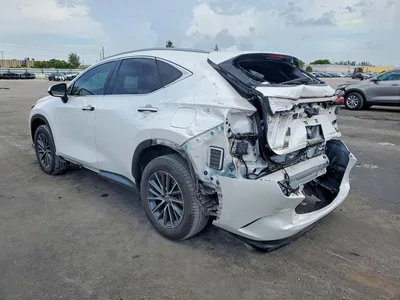 2023 LEXUS NX 250, фото 2, лот 10844285