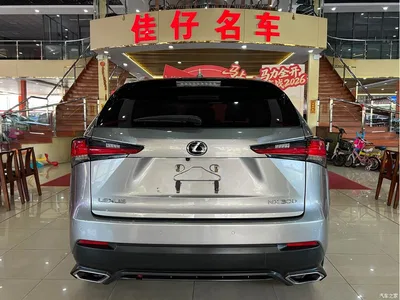 2018 Lexus NX Model 300 FWD Fengxing Edition, фото 4, лот 10314842