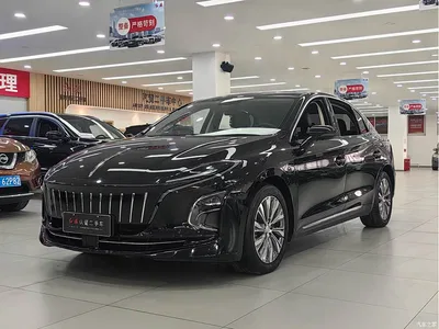 2023 Hongqi E-QM5 Basic Travel Edition, фото 1, лот 10999309