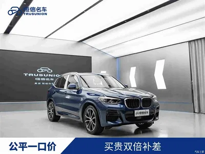 2021 BMW X3 xDrive30i Leading M Sport Package, фото 1, лот 11408503