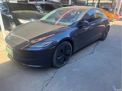 2025 Tesla Model 3 Model Rear-Wheel Drive Edition, фото 1, лот 11570240