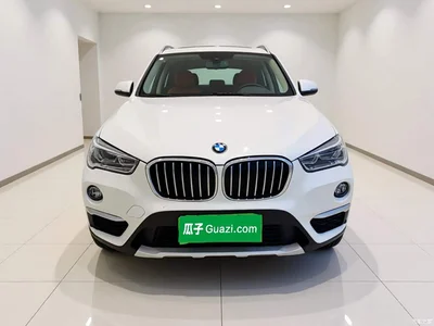 2019 BMW X1 xDrive20Li Premium Model, фото 2, лот 10465549