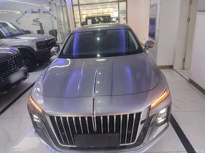 2023 Hongqi H5 1.5T HEV Smart Connect Flag Comfort, фото 3, лот 10289745
