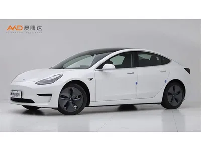 2020 Tesla Model 3 Standard Range Rear-Wheel Drive Upgrade, фото 1, лот 10804394