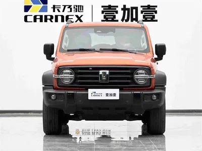 2021 Tank 300 Off-road Version 2.0T Conqueror, фото 2, лот 11131902