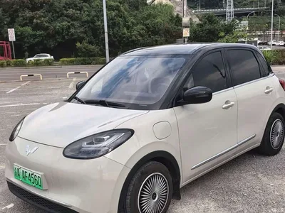 2024 Wuling Motors Wuling Bingo 333km Comfort Edition, фото 1, лот 10367428