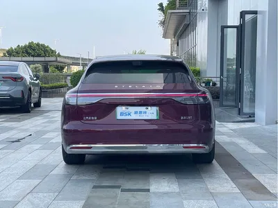 2025 Xiangjie Enjoy World S9T Model Pure Electric AWD, фото 4, лот 10838880