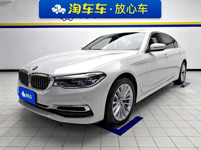 2020 BMW 5 Series 530Li xDrive Luxury Package, фото 1, лот 10766523