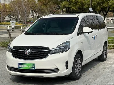 2020 Buick GL8, фото 1, лот 10244315
