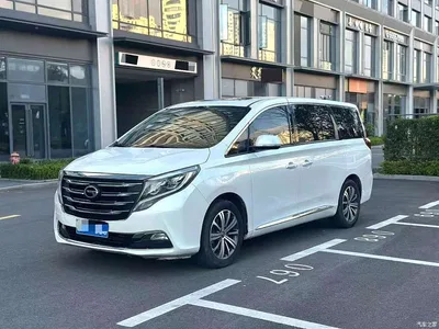 2018 GAC Trumpchi Trumpchi M8 320T Premium Edition, фото 2, лот 10417196